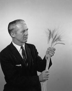 Borlaug